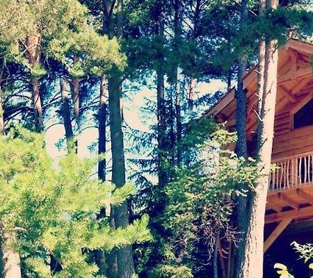 Les Cabanes Des Pins Sylvestres Saint-Martin-Vésubie 外观 照片