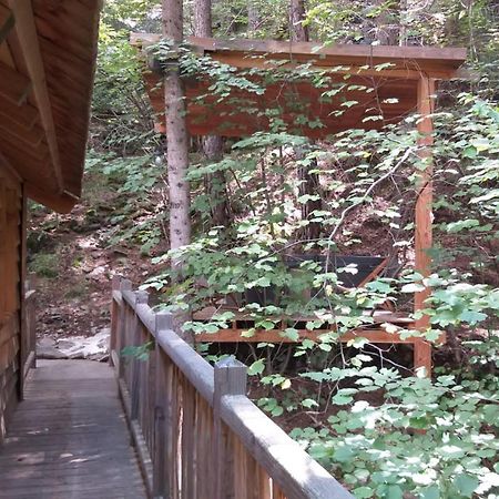 Les Cabanes Des Pins Sylvestres Saint-Martin-Vésubie 外观 照片