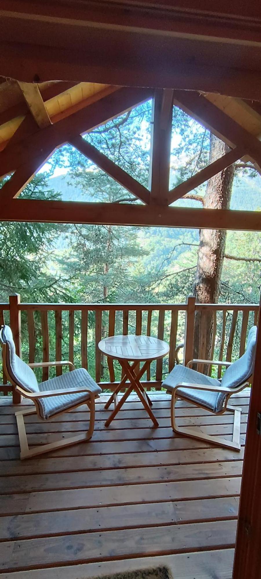 Les Cabanes Des Pins Sylvestres Saint-Martin-Vésubie 外观 照片