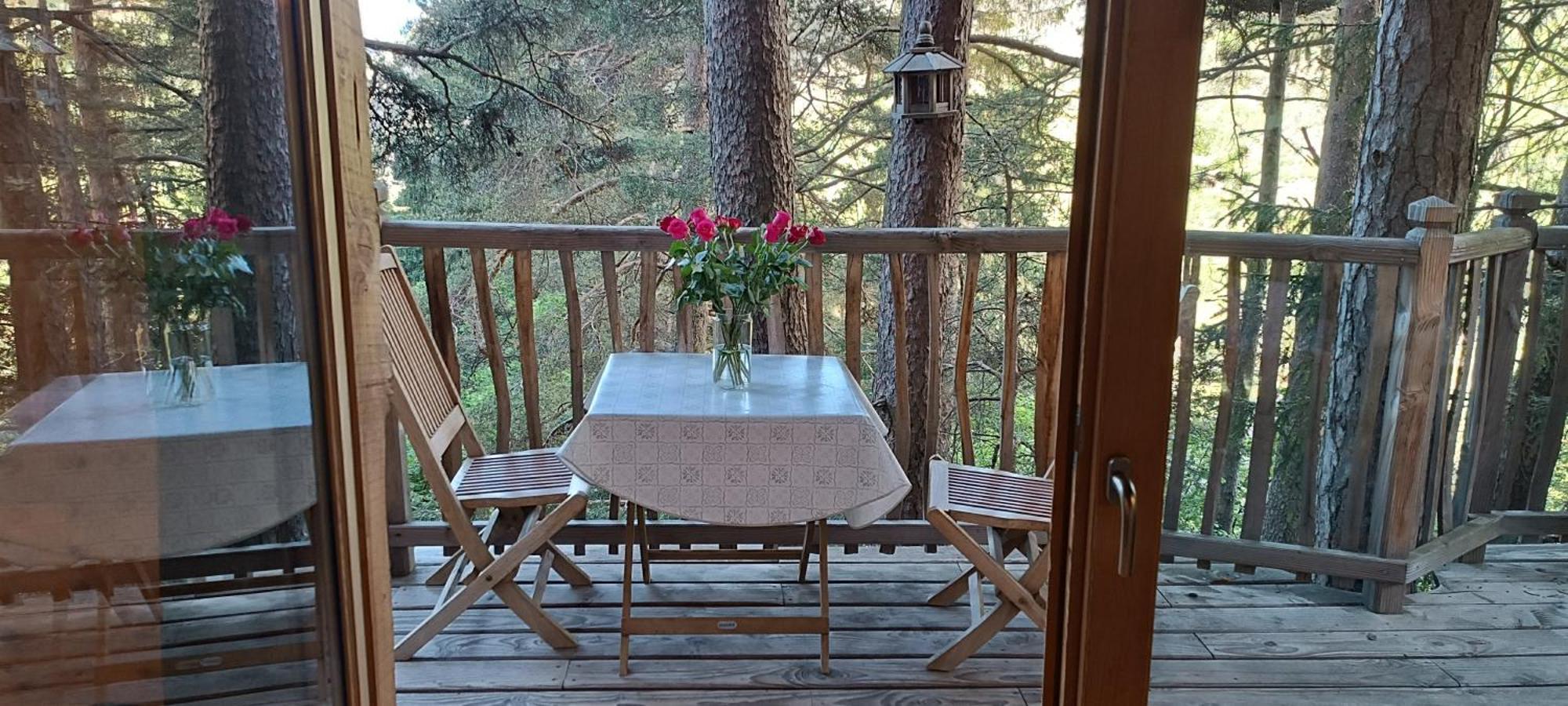Les Cabanes Des Pins Sylvestres Saint-Martin-Vésubie 外观 照片