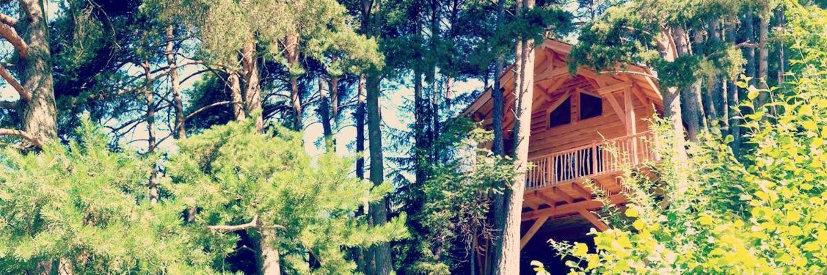Les Cabanes Des Pins Sylvestres Saint-Martin-Vésubie 外观 照片